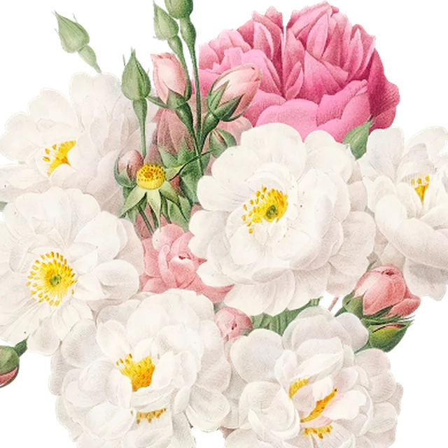 Amostra de recorte de flores em PNG